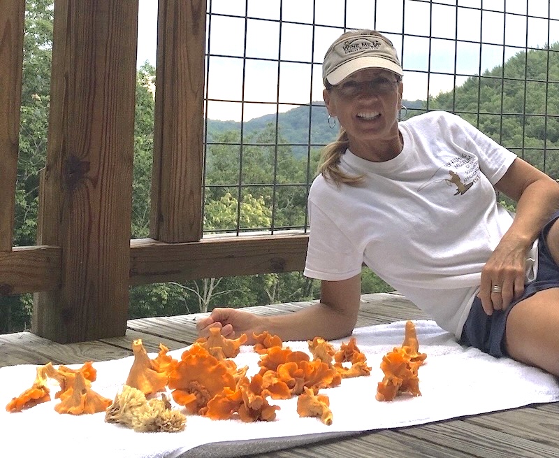 holly and chanterelles